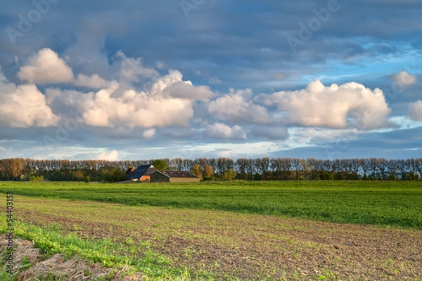 Obraz field, farmhouse and blue sky