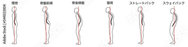 Fototapeta 立位姿勢一覧
