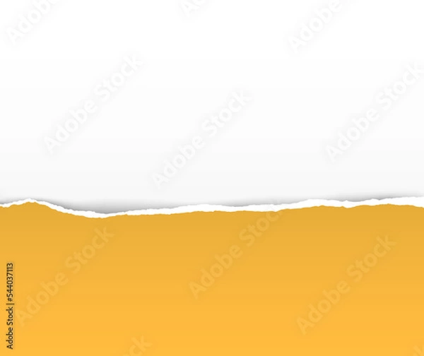 Fototapeta Torn paper on white background with space for text. Vector illustration.