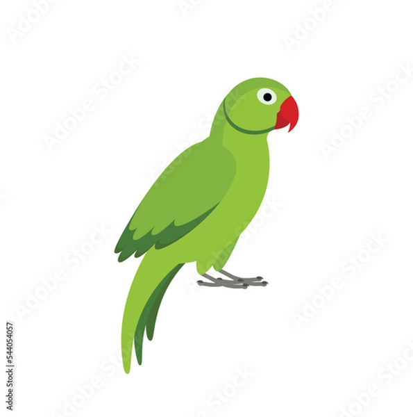 Obraz Green parrot on white background