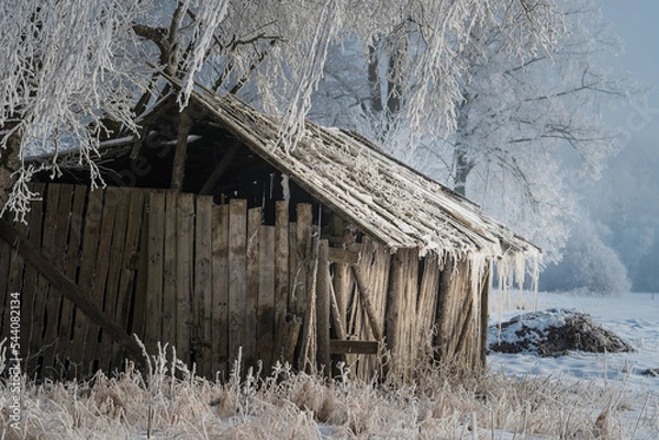 Fototapeta old barn in winter