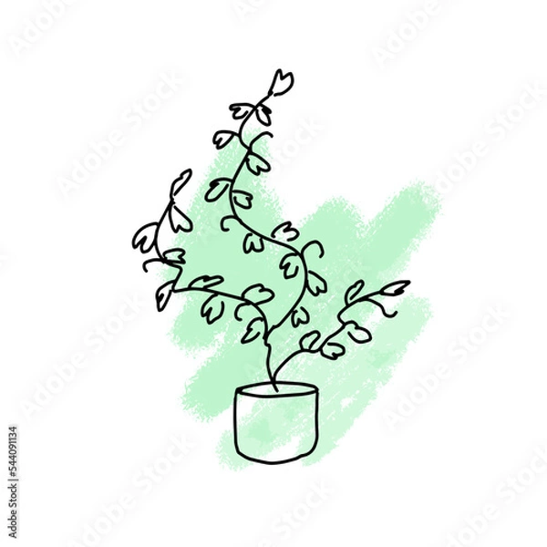 Obraz Ivy in a pot on the background of a green paint spot.Doodle potted flowers on a background of paint stains. Vector doodle on the background of a paint spot. 