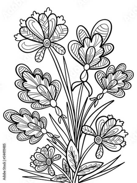 Fototapeta abstraction of flowers coloring page contour drawing doodle sketch vector isolated on a white background black and white illustration of a plant