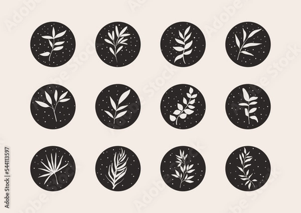 Fototapeta Social media highlight covers. Botanical boho set of minimal icons, simple bohemian hand-drawn icons logo design. Vector custom illustration.