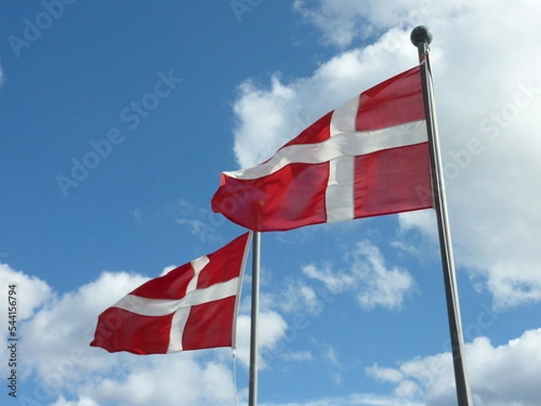 Obraz Drapeau Danois