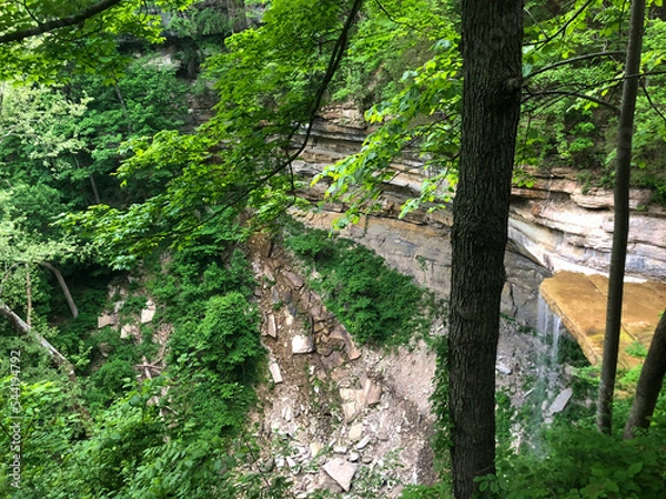 Obraz waterfall in the woods