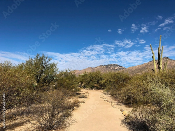 Obraz dunes in the desert