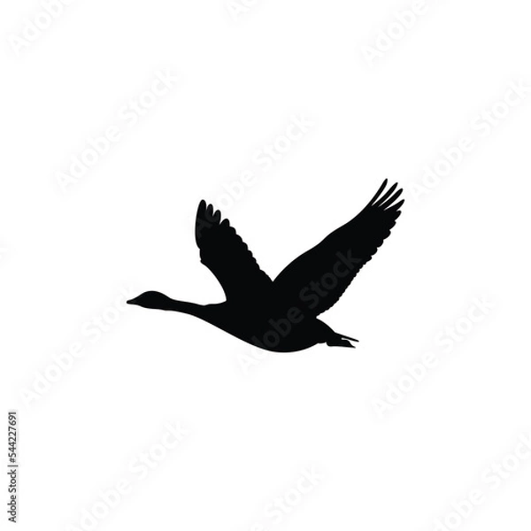 Obraz Flying goose bird icon or logo vector graphics