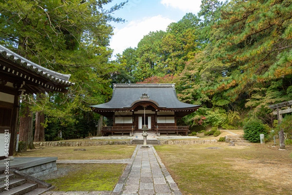 Obraz 紅葉に包まれた弘川寺