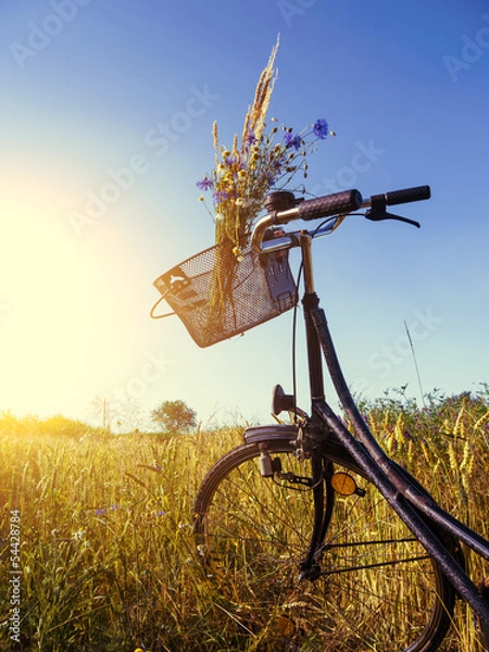 Obraz bicycle in landscape