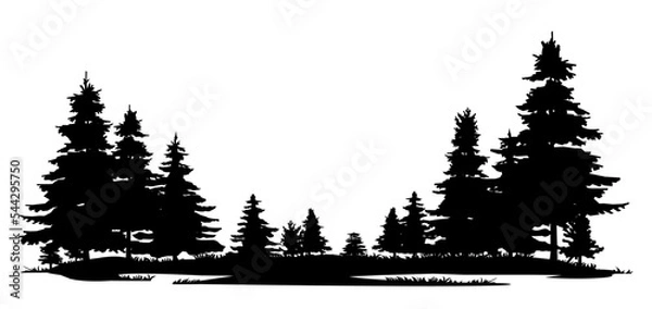 Fototapeta Overgrown patch. Coniferous forest with firs and pines. Landscape with trees and grass. Silhouette picture. Isolated on white background. Vector.
