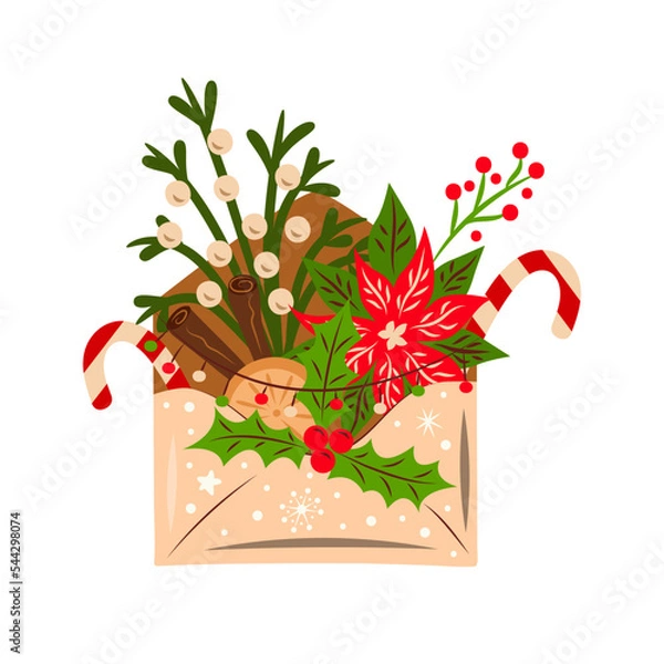 Fototapeta Envelope with Christmas plants and cane sticks. Vector illustration.