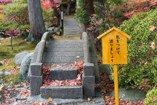 Obraz 庭園の紅葉