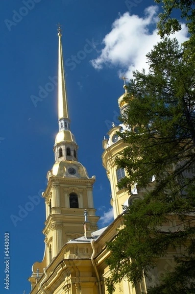 Obraz spire and tree