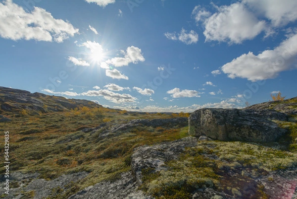 Fototapeta Tundra with hills and trees with yellow leaves.