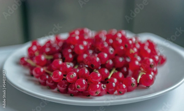 Fototapeta Group of red and wet currants on a white background