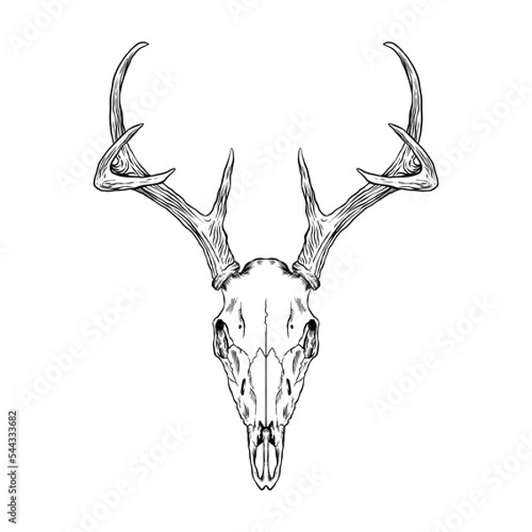 Obraz deer head skull