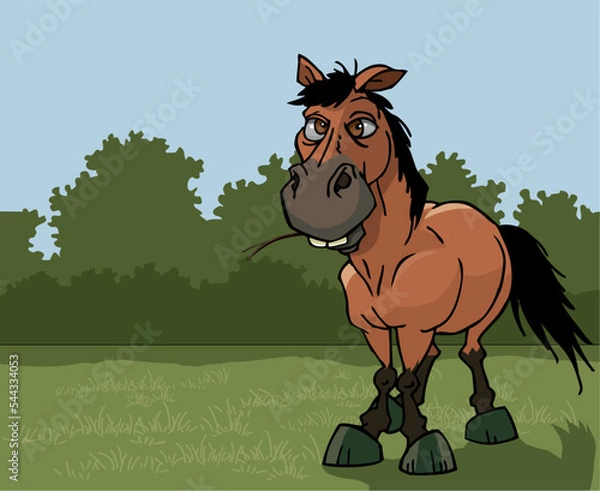 Obraz horse