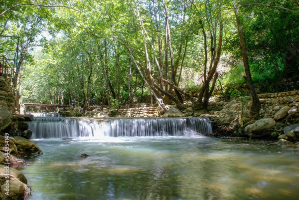 Obraz waterfall in the forest