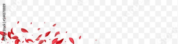 Fototapeta Beautiful Flower Fall Vector Transparent