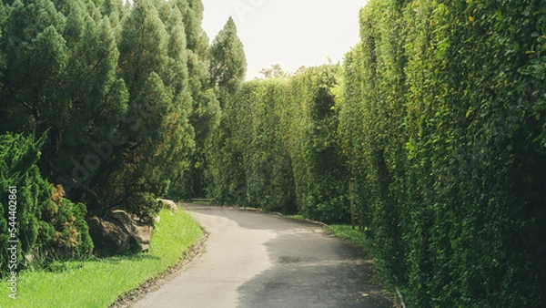 Obraz Natural public garden with green grass and tree, Green place with a freshness condition.