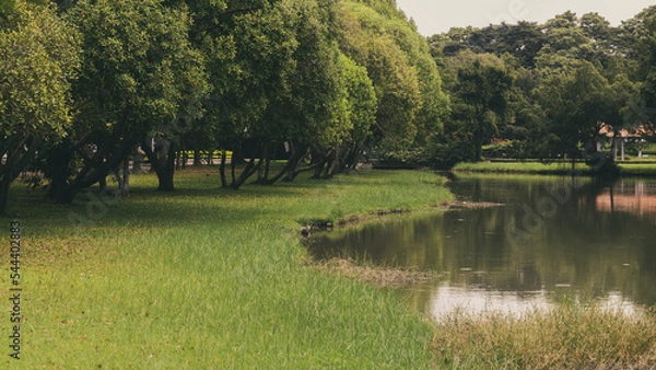 Obraz Natural public garden with green grass and tree, Green place with a freshness condition.