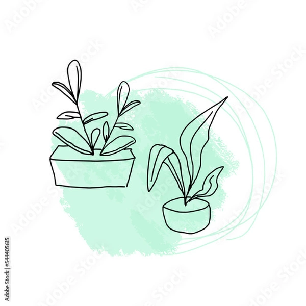 Obraz Two flowers in pots on a background of green paint spots. Doodle potted flowers on a background of paint stains. Vector doodle on the background of a paint spot.