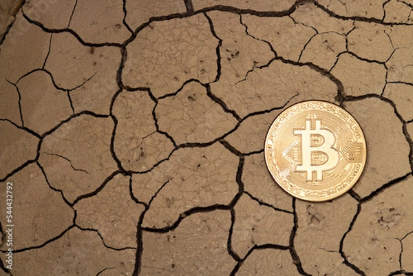 Obraz Golden bitcoin in the form of a coin lies on dry ground