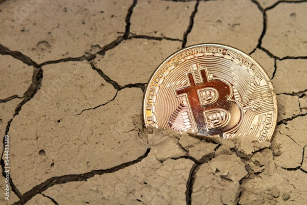 Obraz bitcoin in the form of a coin lies on dry cracked ground