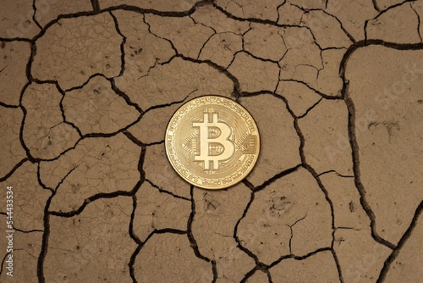 Obraz Golden bitcoin in the form of a coin lies on dry ground