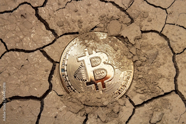 Obraz Golden bitcoin in the form of a coin lies on dry cracked ground