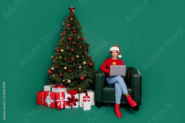 Fototapeta Full length portrait of attractive person sit chair use netbook eshopping isolated on green color background