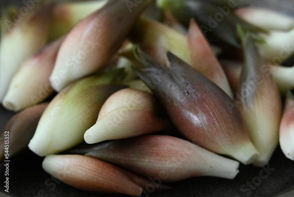 Obraz たくさんの茗荷