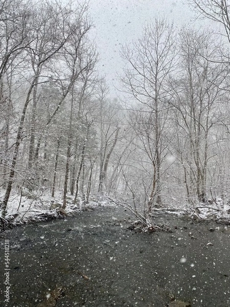 Obraz Snowy Stream in Winter