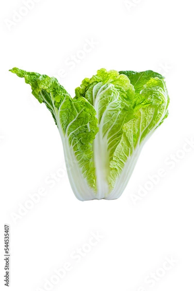 Obraz fresh chinese cabbage on a white background