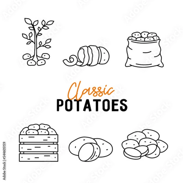 Fototapeta Set of icons with potatoes. Potato bush, box, sack and chopped potatoes. Vector linear illustration