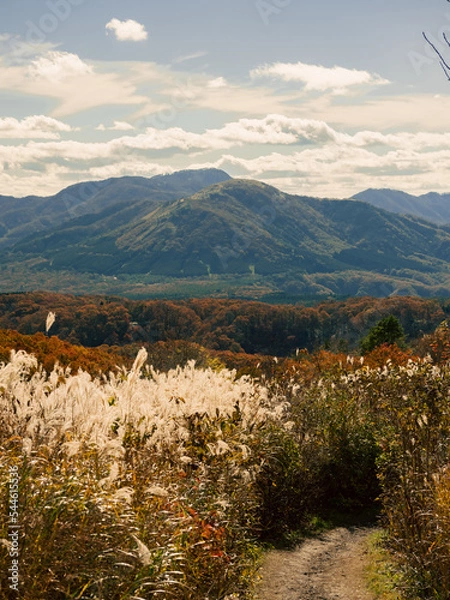 Fototapeta 蒜山　鬼女台展望休憩所　