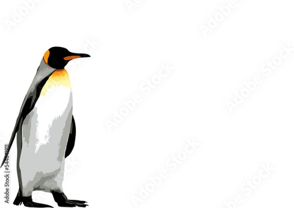 Obraz pinguin logo