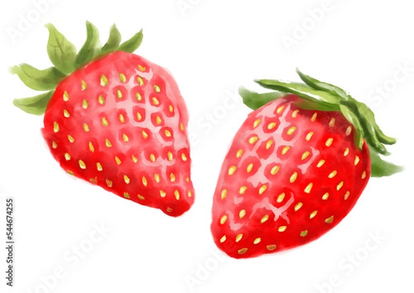 Obraz 水彩のいちご01_1