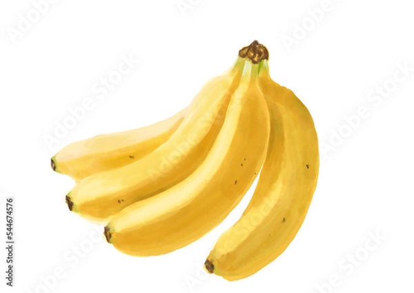 Obraz 水彩のバナナ01_1