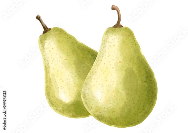 Obraz 水彩の洋梨01_2
