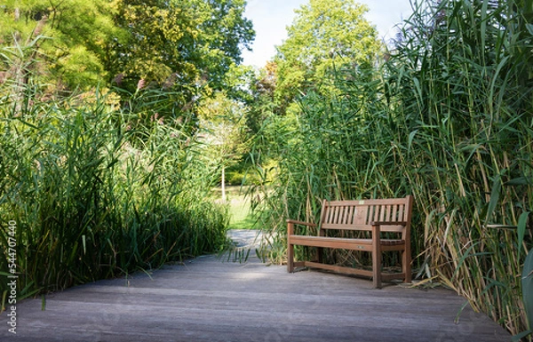 Obraz wooden bench in sun garden