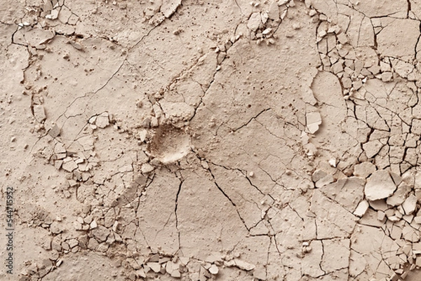 Obraz Dry cracked earth and craters during drought and disaster