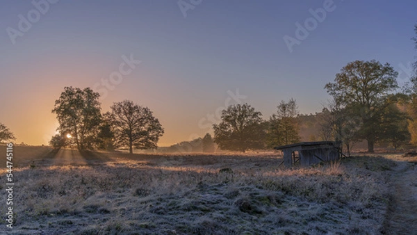 Obraz Herbst in der Lüneburger Heide 