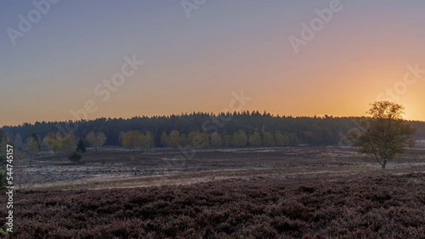 Obraz Herbst in der Lüneburger Heide 