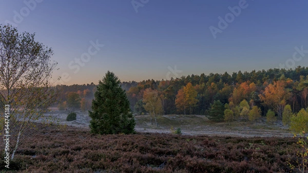 Obraz Herbst in der Lüneburger Heide 