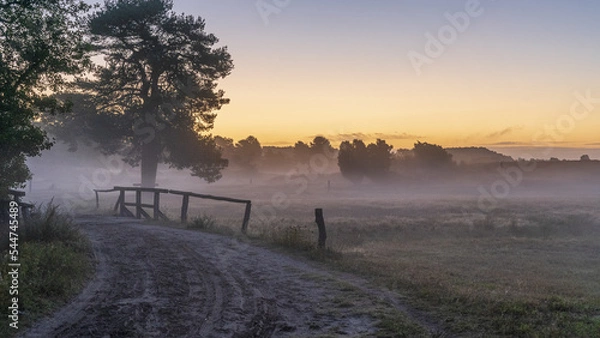 Obraz Lüneburger Heide im Nebel