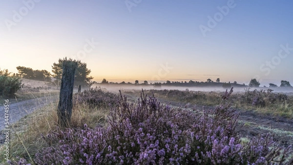 Obraz Lüneburger Heide im Nebel