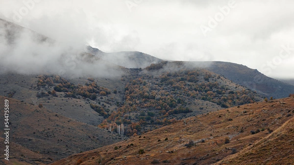 Obraz landscape with clouds