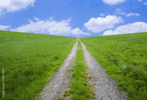 Obraz 草原の道